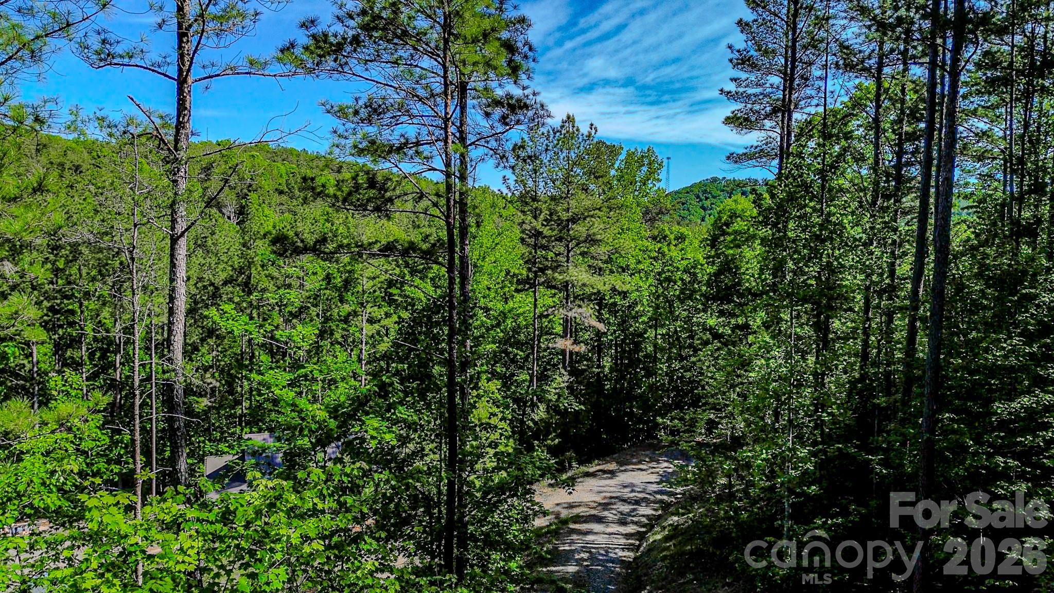 146 S Branch Drive Bostic NC 28018