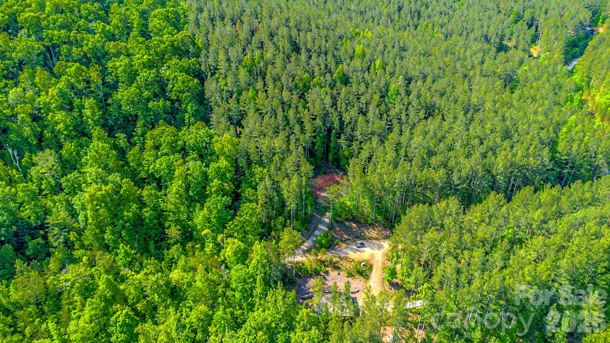 146 S Branch Drive Bostic NC 28018