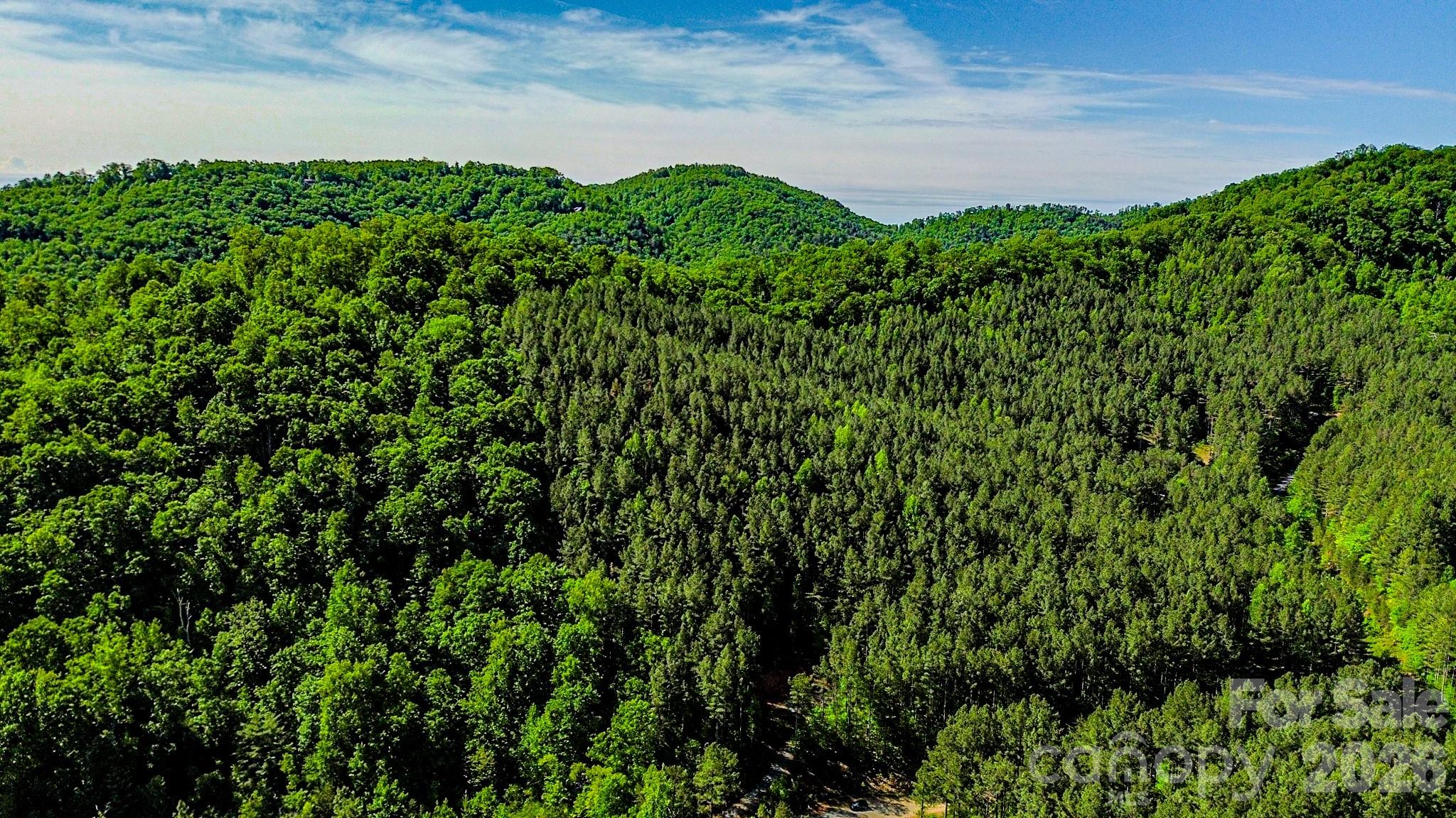 146 S Branch Drive Bostic NC 28018