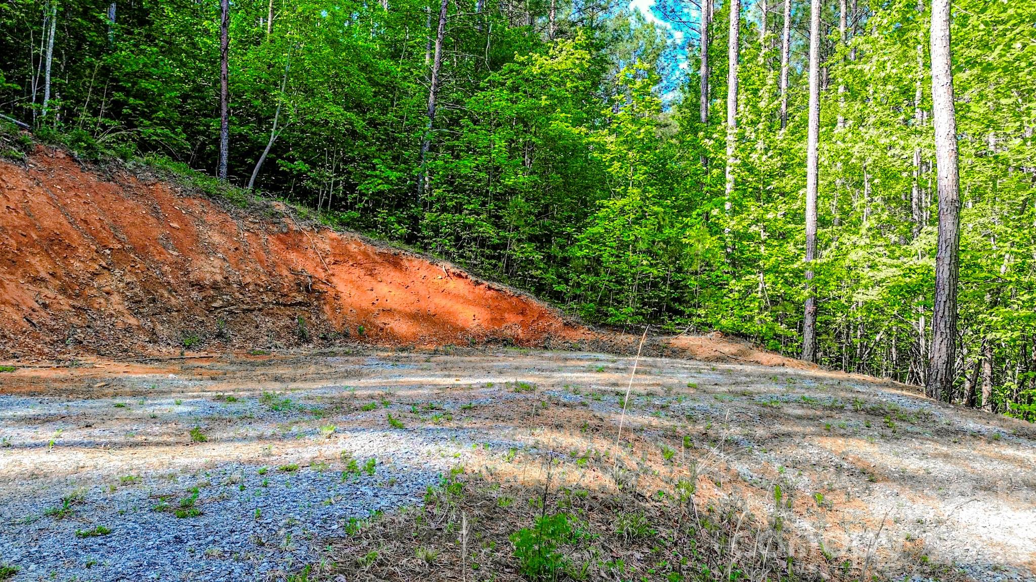 146 S Branch Drive Bostic NC 28018