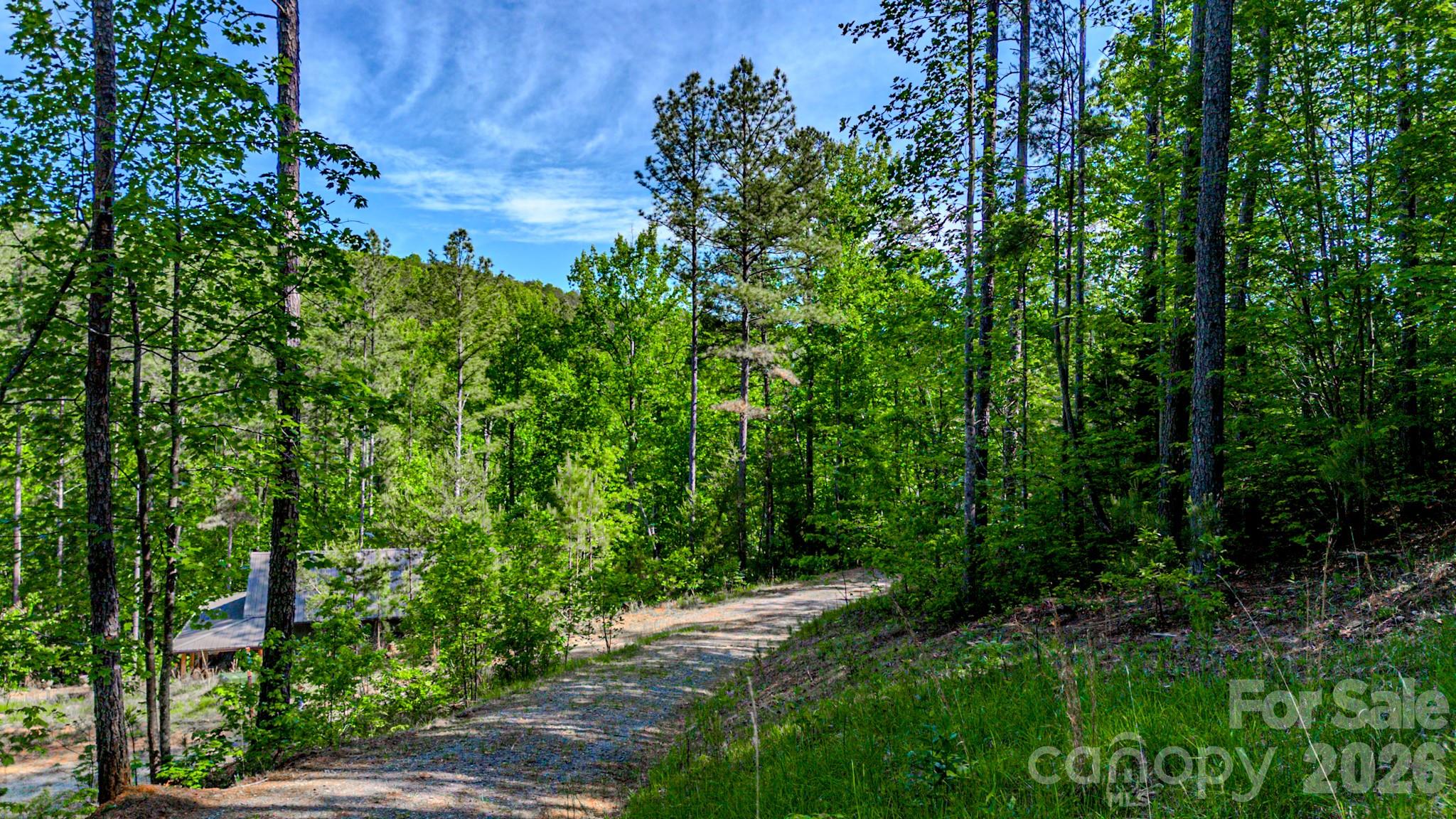146 S Branch Drive Bostic NC 28018