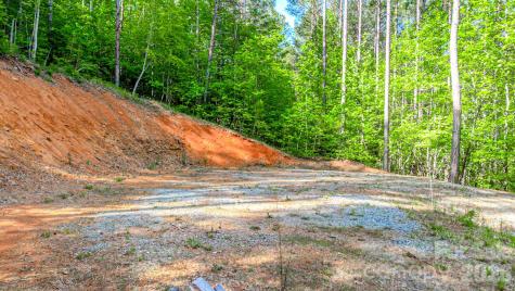 146 S Branch Drive Bostic NC 28018