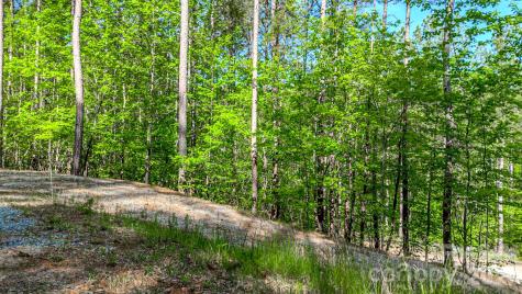146 S Branch Drive Bostic NC 28018
