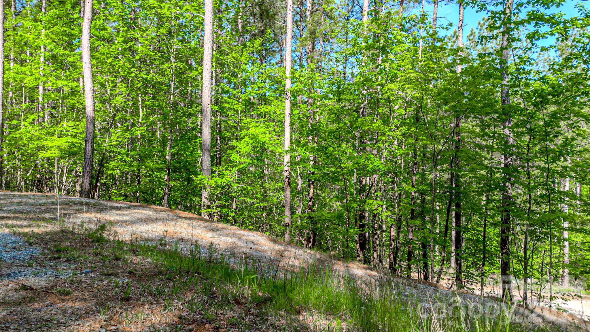 146 S Branch Drive Bostic NC 28018