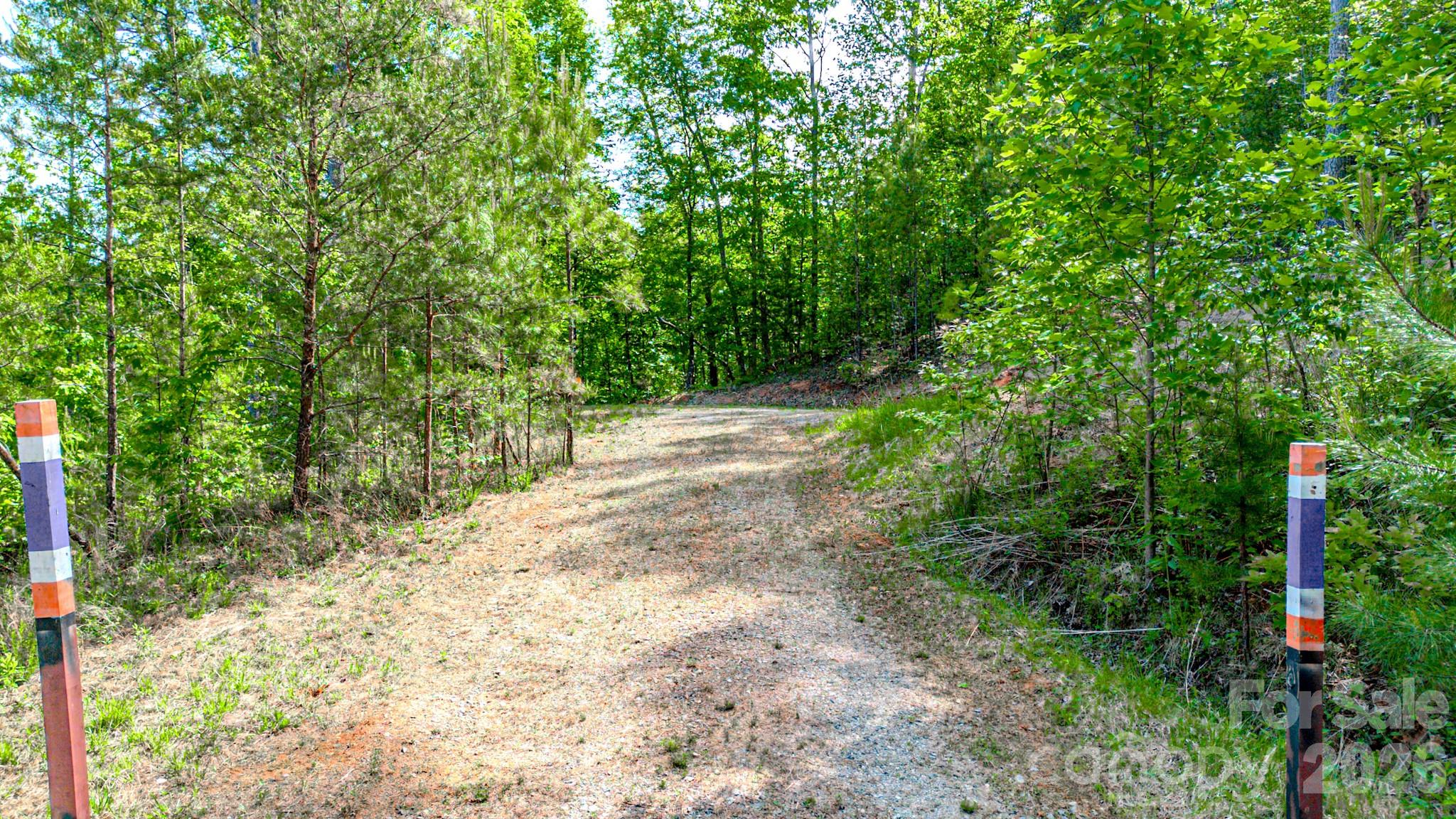 146 S Branch Drive Bostic NC 28018