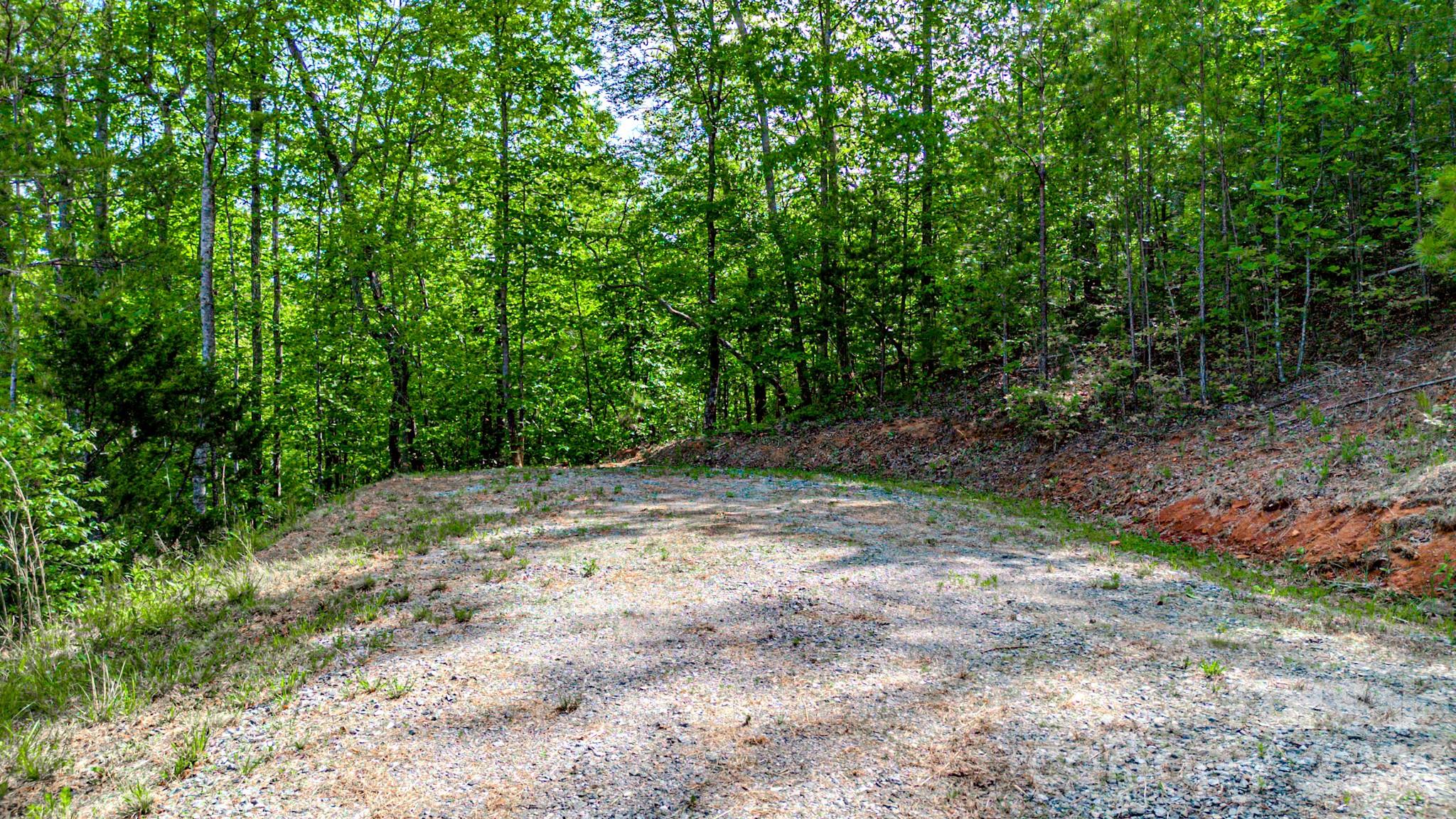146 S Branch Drive Bostic NC 28018