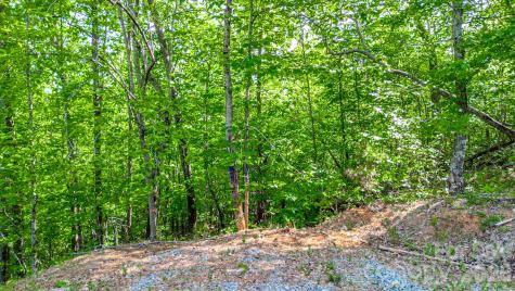 146 S Branch Drive Bostic NC 28018