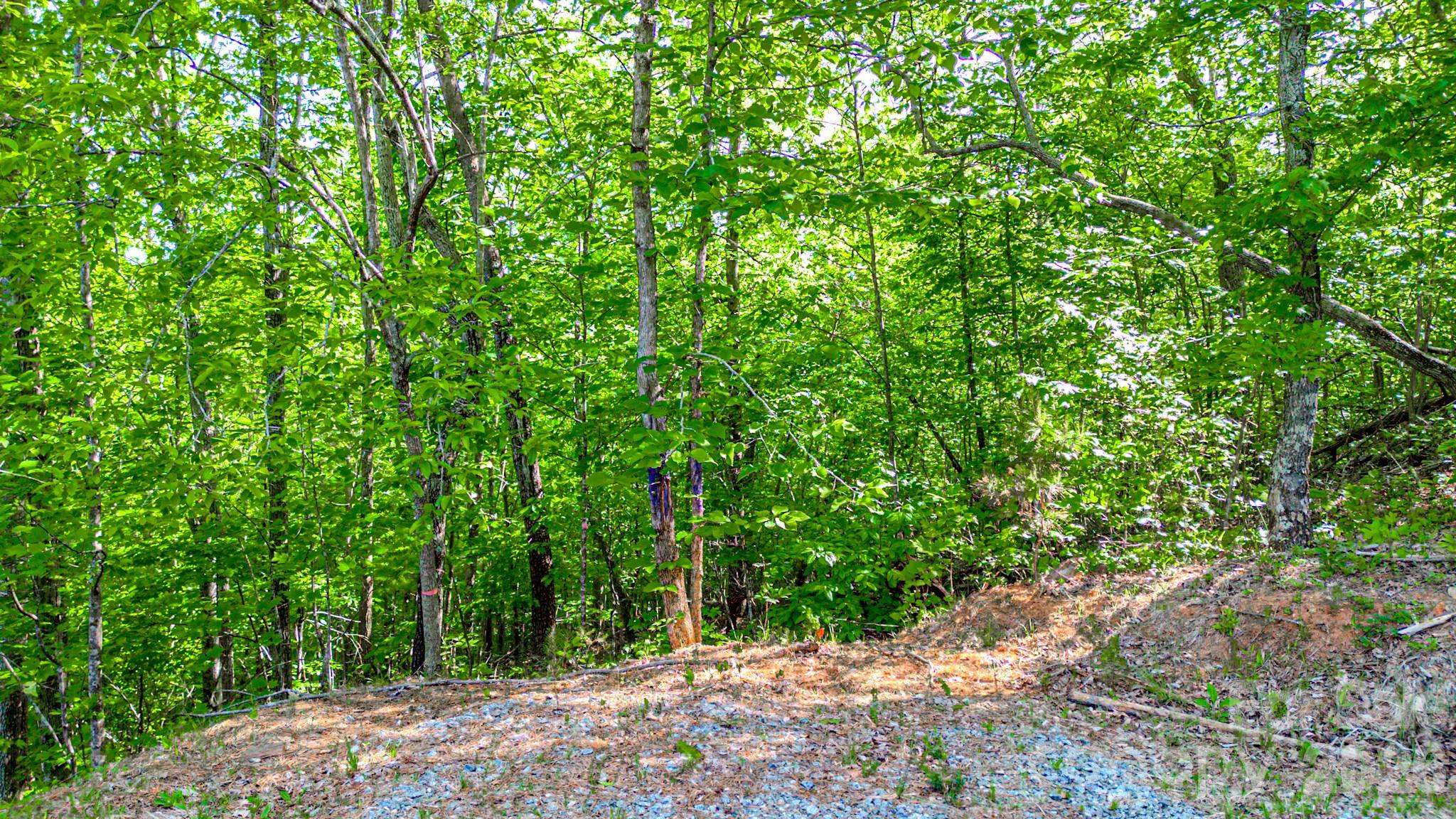 146 S Branch Drive Bostic NC 28018