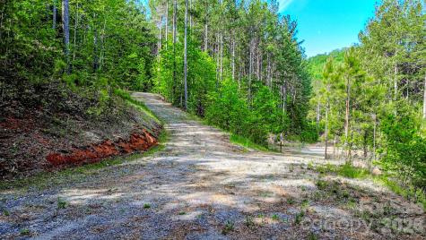 146 S Branch Drive Bostic NC 28018