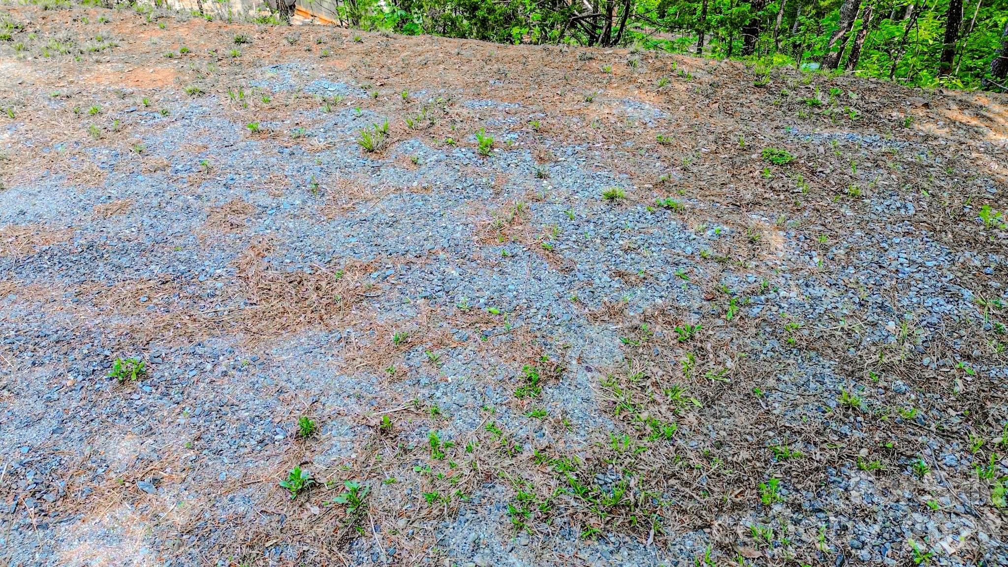 146 S Branch Drive Bostic NC 28018