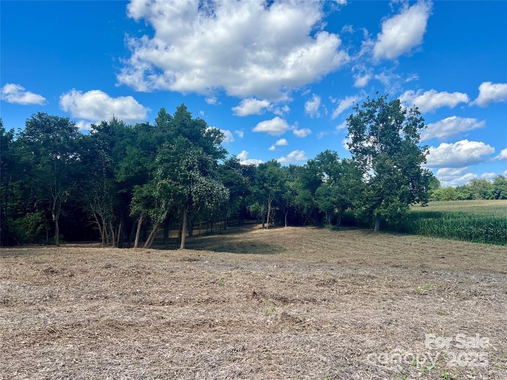 2095 Hatties Way Hamptonville NC 27020