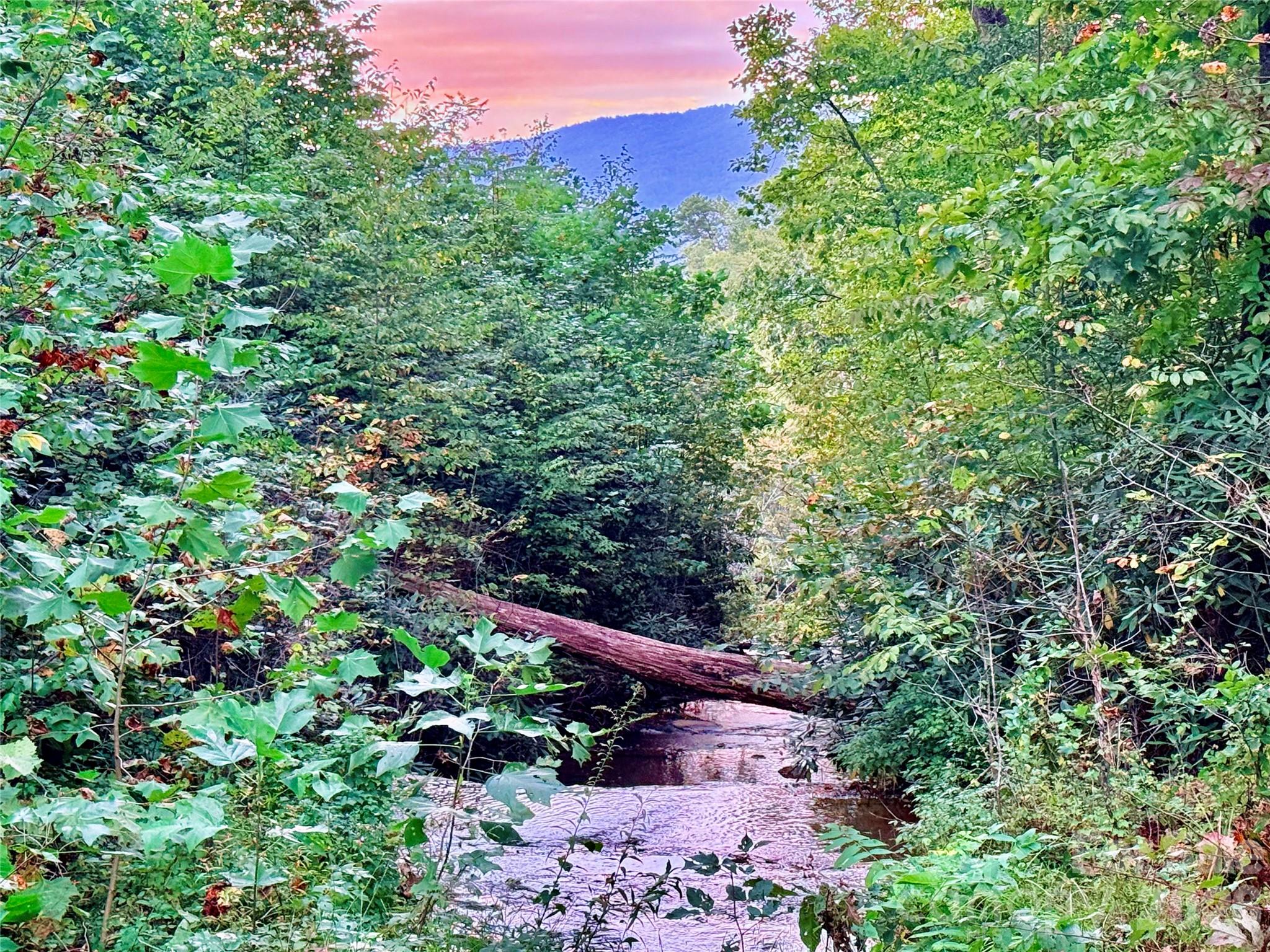 0 The Falls Road Union Mills NC 28167