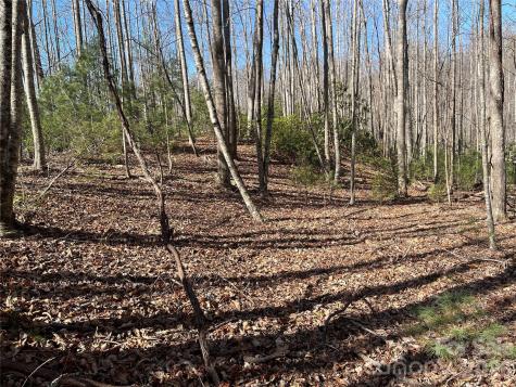 521 Timber Rock Drive Lenoir NC 28604