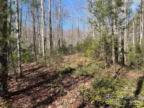 521 Timber Rock Drive Lenoir NC 28604