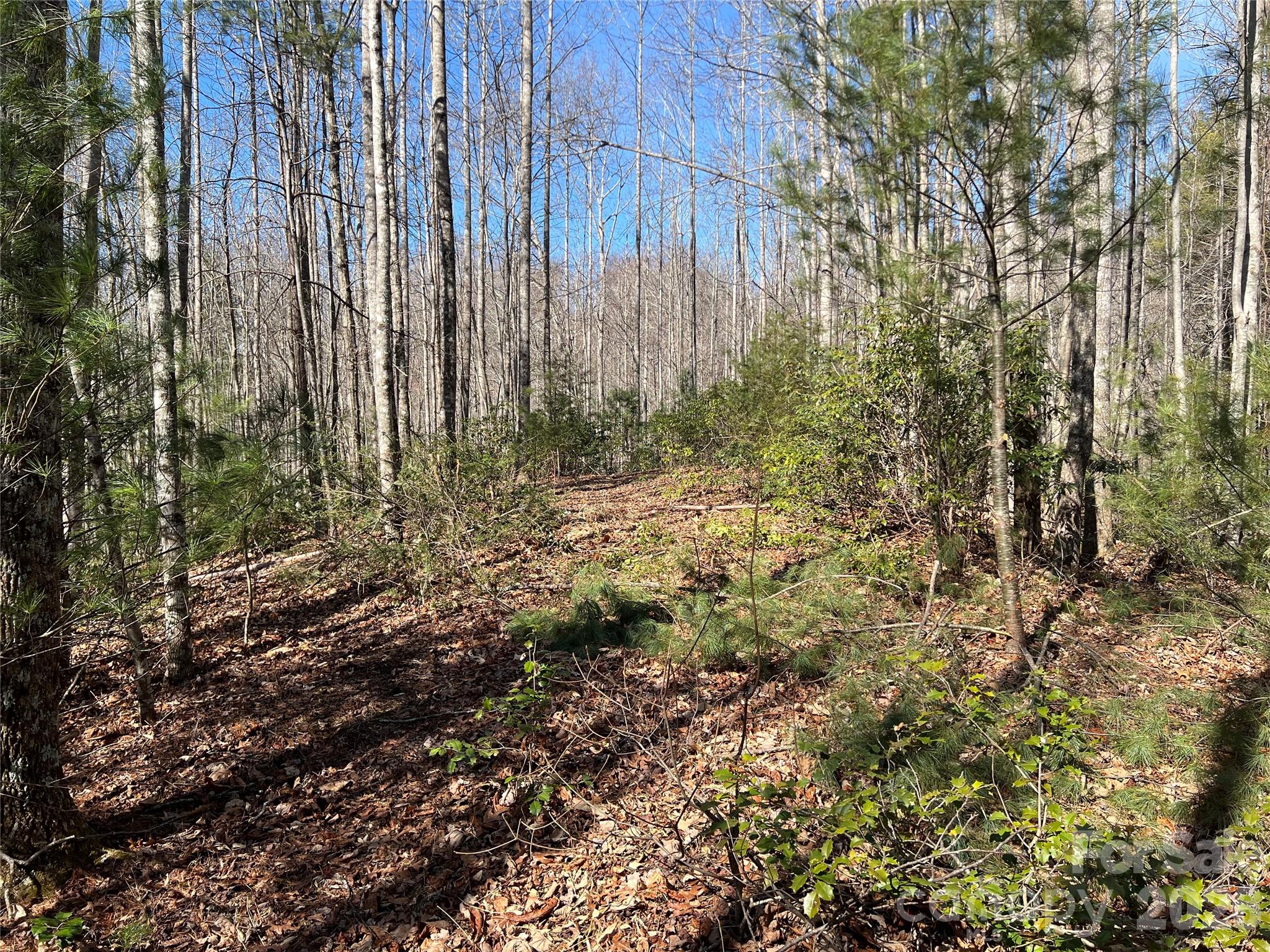 521 Timber Rock Drive Lenoir NC 28604