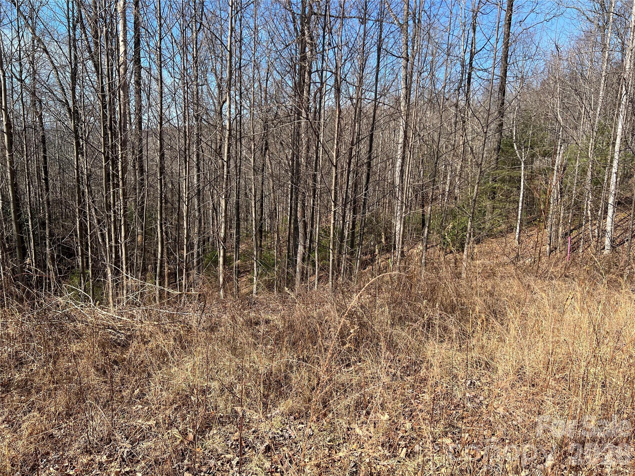 521 Timber Rock Drive Lenoir NC 28604