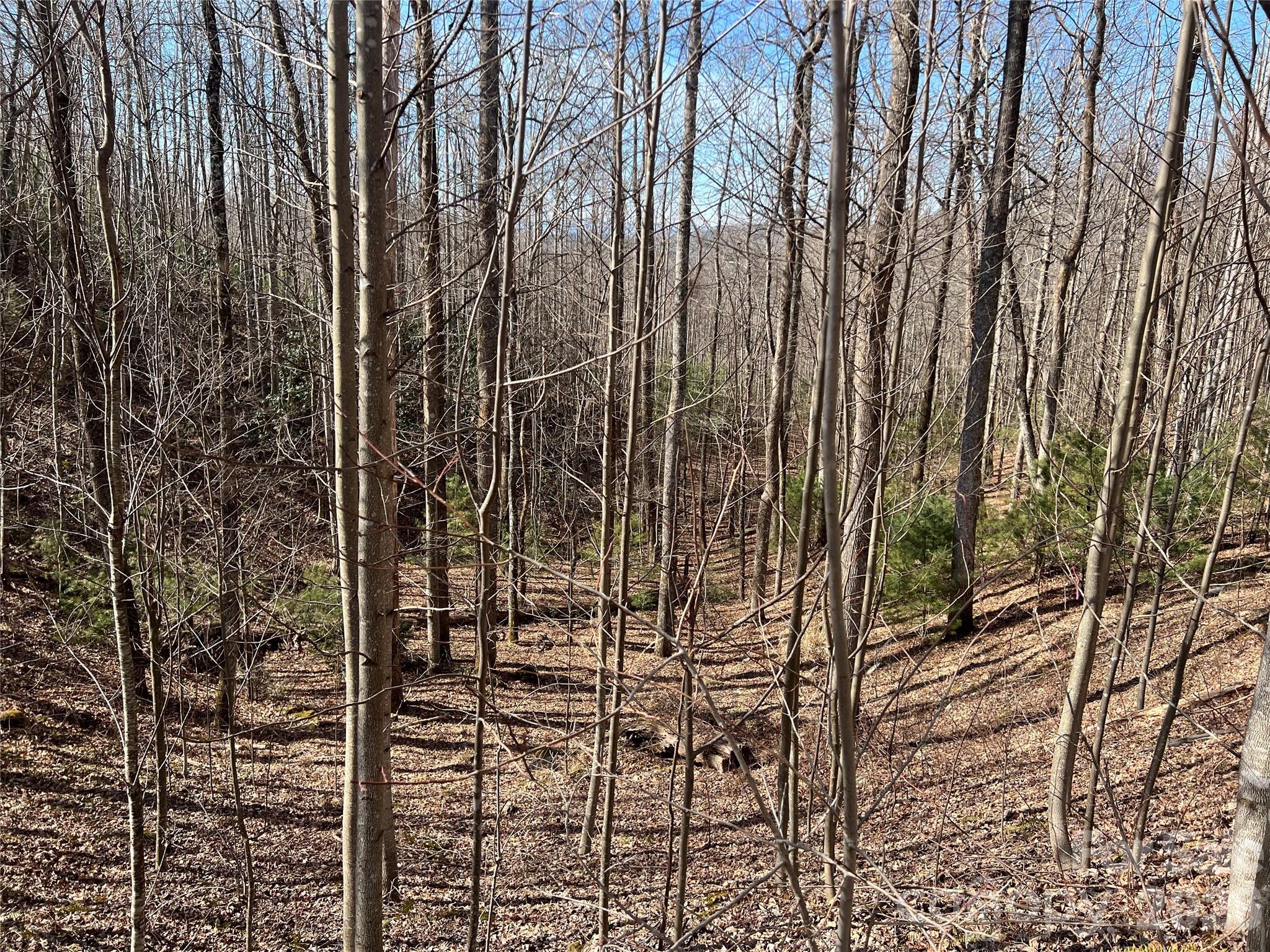 521 Timber Rock Drive Lenoir NC 28604