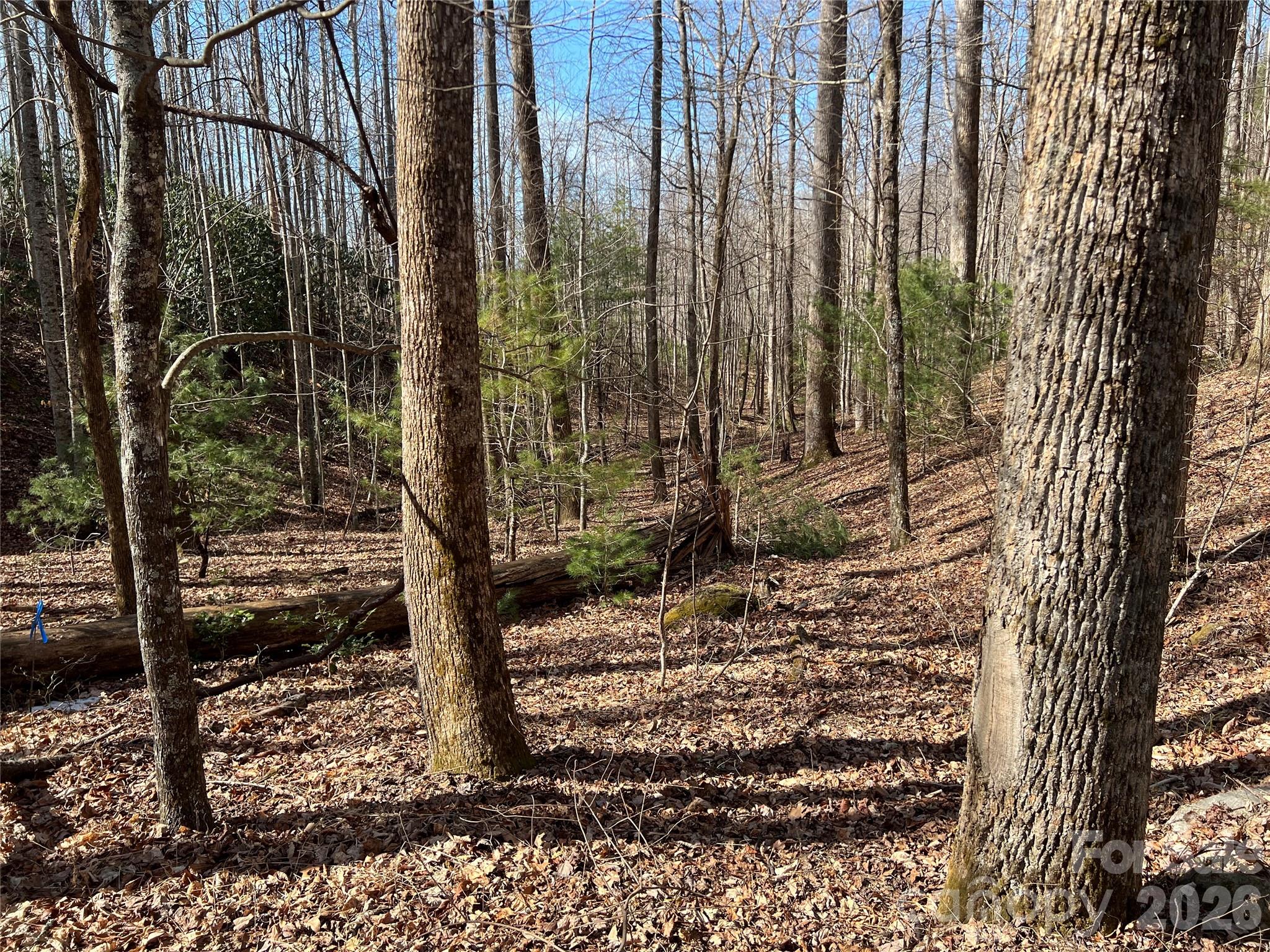 521 Timber Rock Drive Lenoir NC 28604