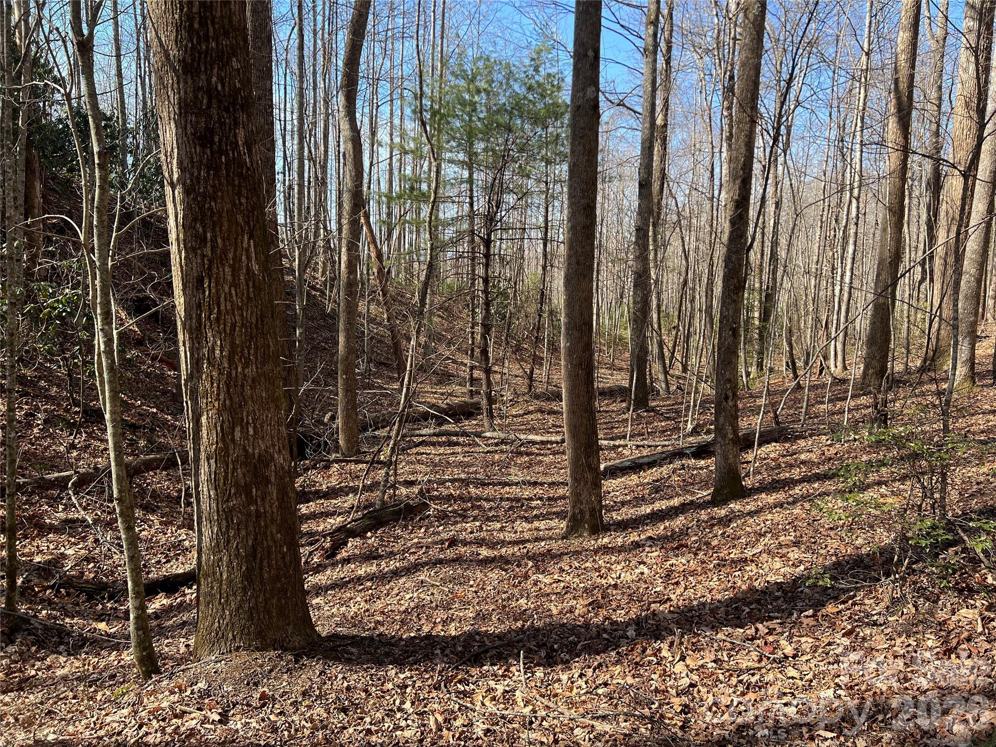 521 Timber Rock Drive Lenoir NC 28604