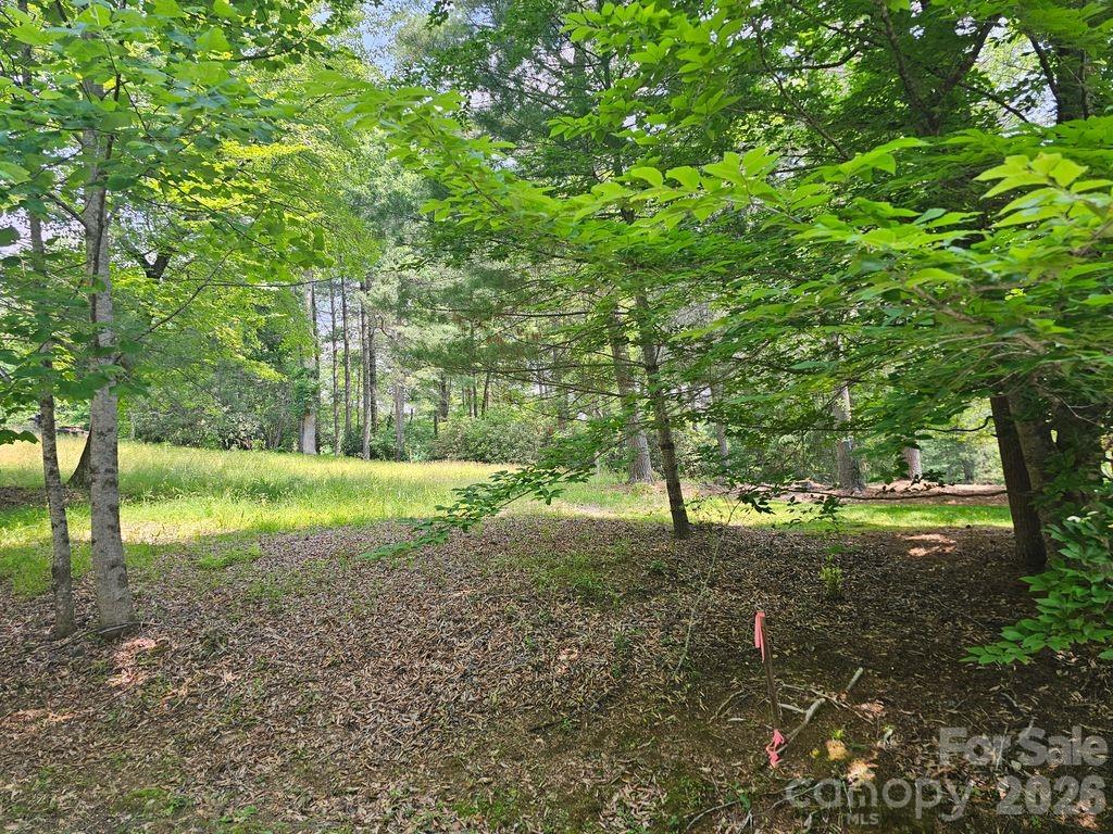 A3 Allison Creek Trail Brevard NC 28712