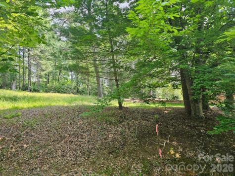 A3 Allison Creek Trail Brevard NC 28712