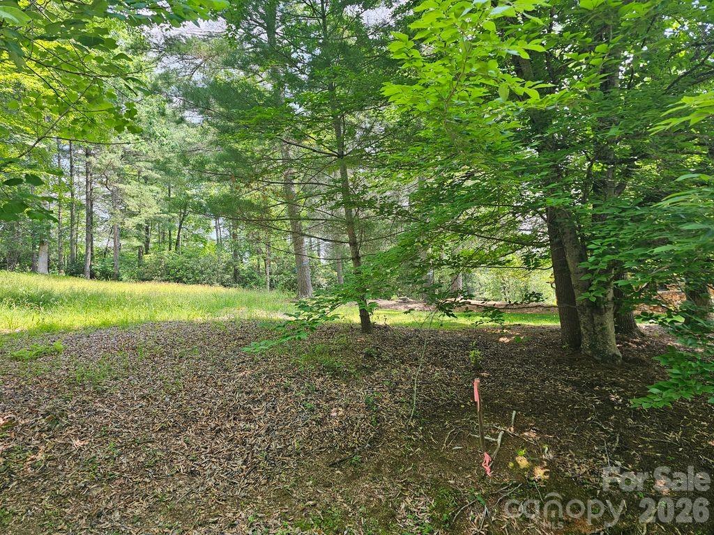 A3 Allison Creek Trail Brevard NC 28712