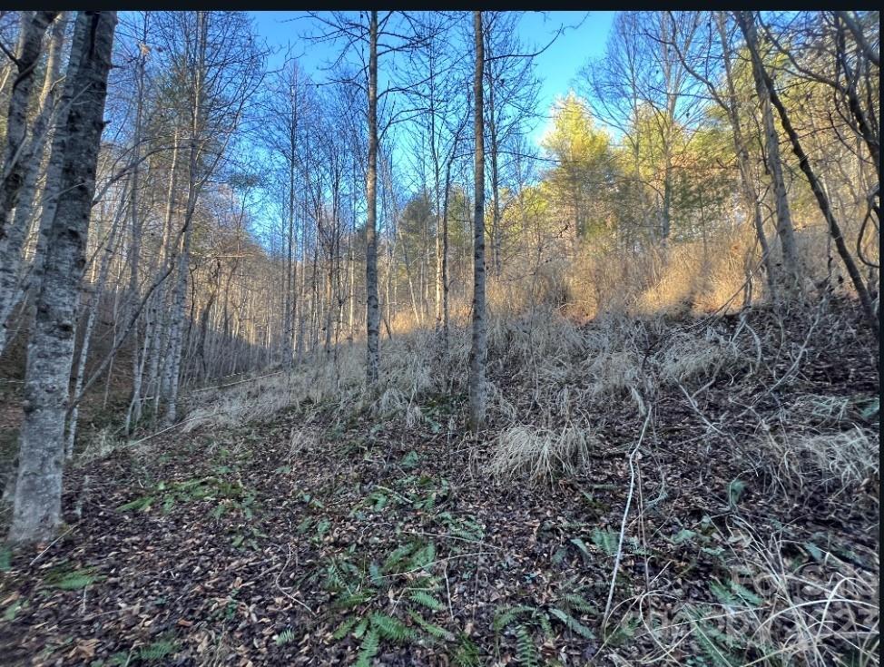 000 Grapevine Road Marshall NC 28753