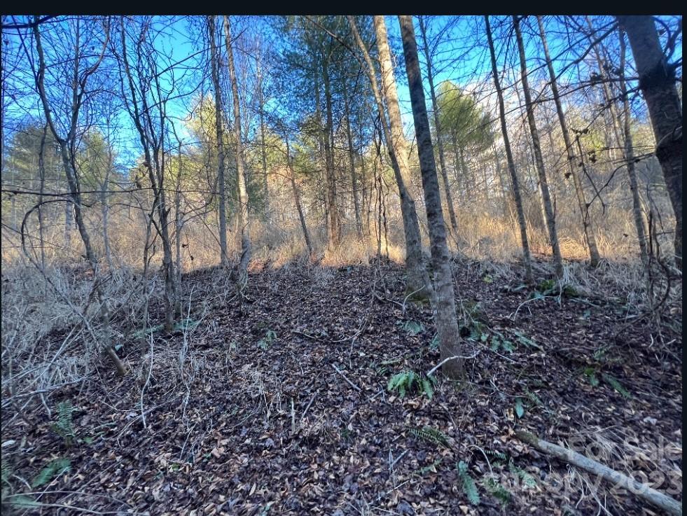 000 Grapevine Road Marshall NC 28753