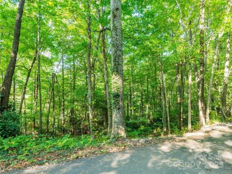 0 Alpine Ridge Canton NC 28716