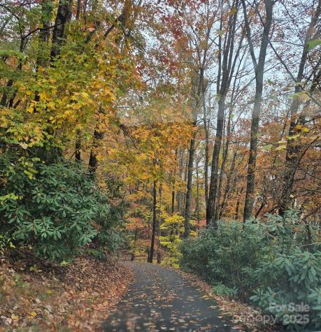 0 Alpine Ridge Canton NC 28716