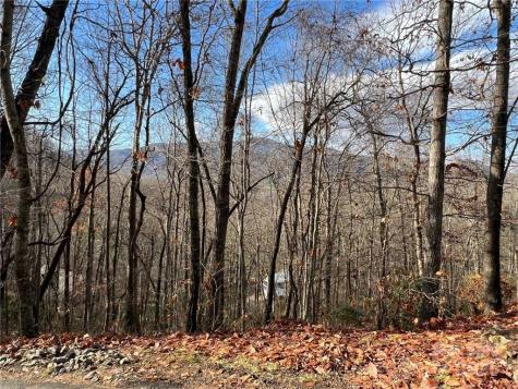 0 Alpine Ridge Canton NC 28716