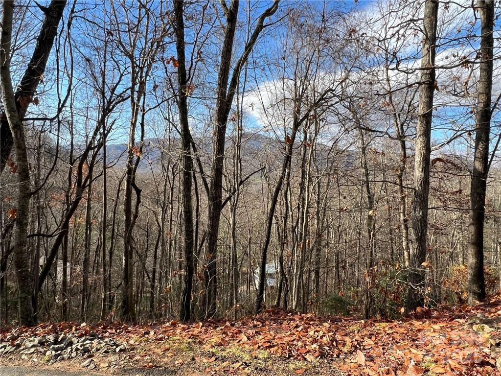 0 Alpine Ridge Canton NC 28716