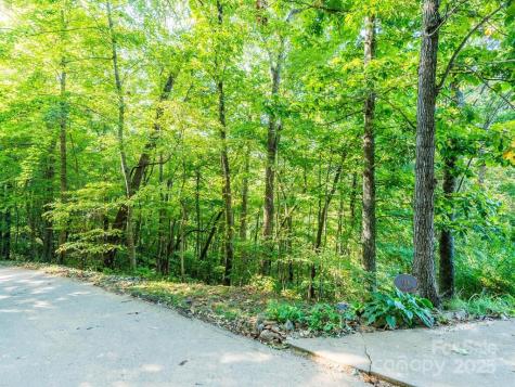 0 Alpine Ridge Canton NC 28716