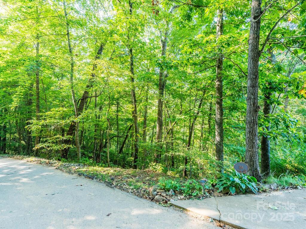 0 Alpine Ridge Canton NC 28716