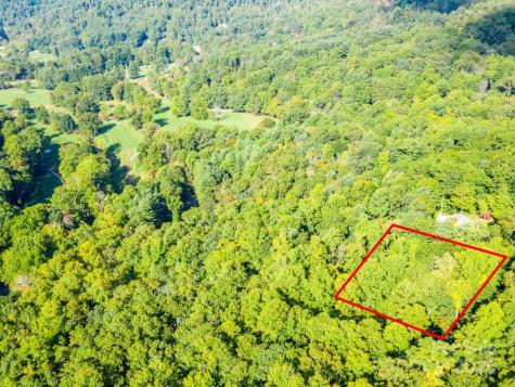 0 Alpine Ridge Canton NC 28716