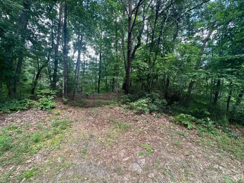 0000 Justice Drive Lake Lure NC 28746