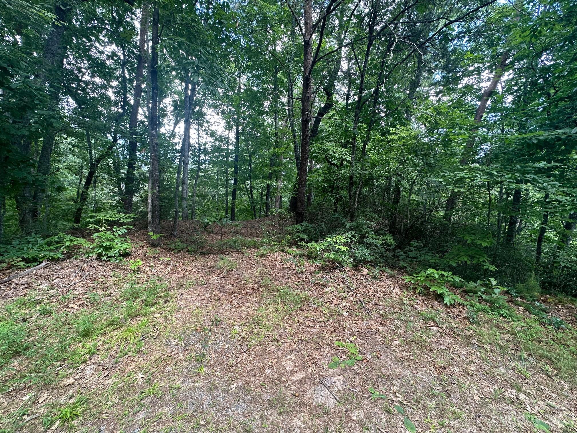 0000 Justice Drive Lake Lure NC 28746