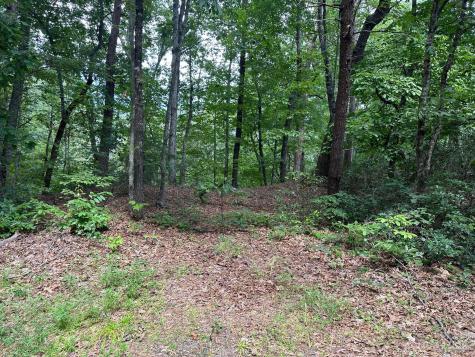 0000 Justice Drive Lake Lure NC 28746