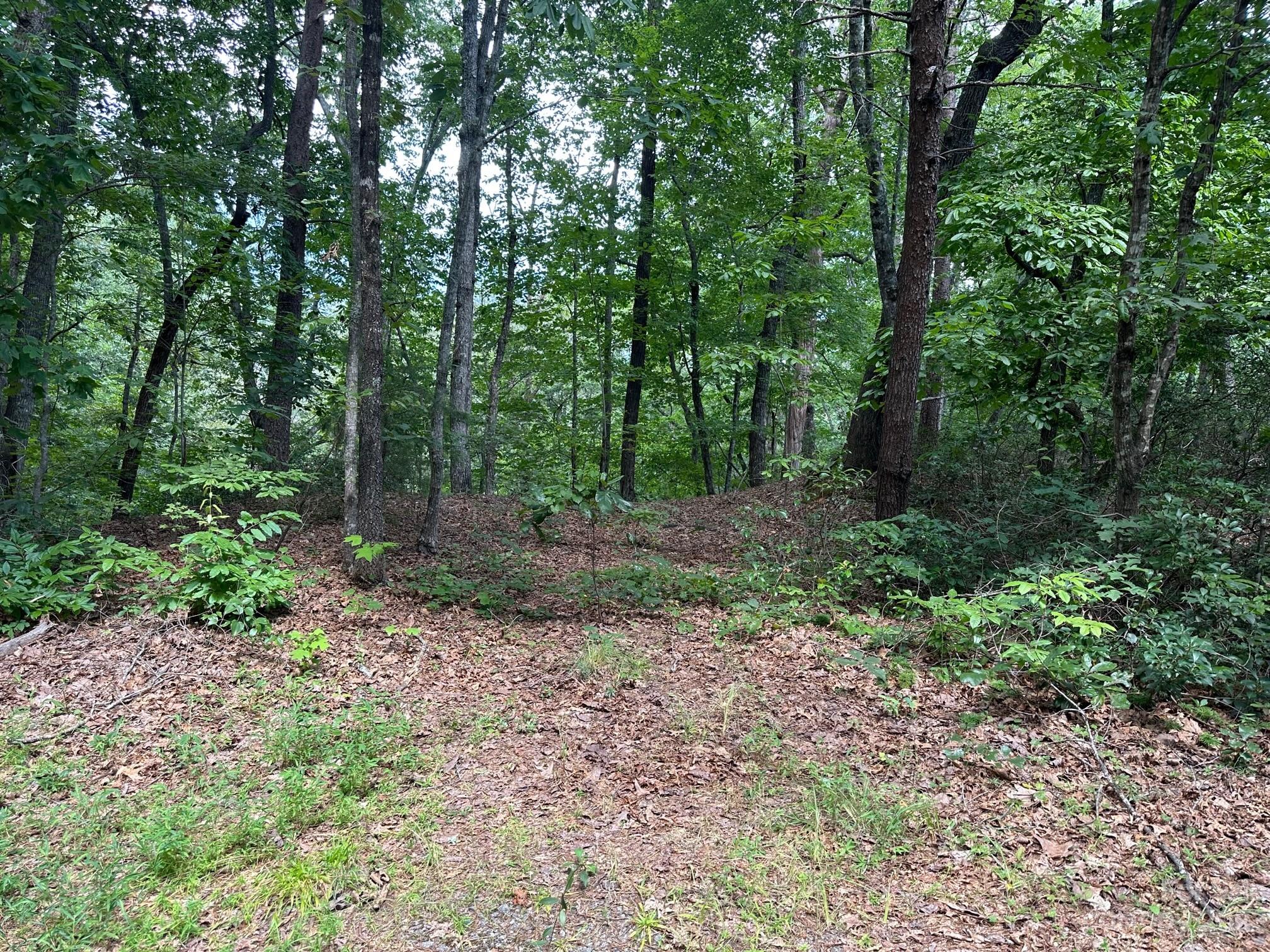 0000 Justice Drive Lake Lure NC 28746
