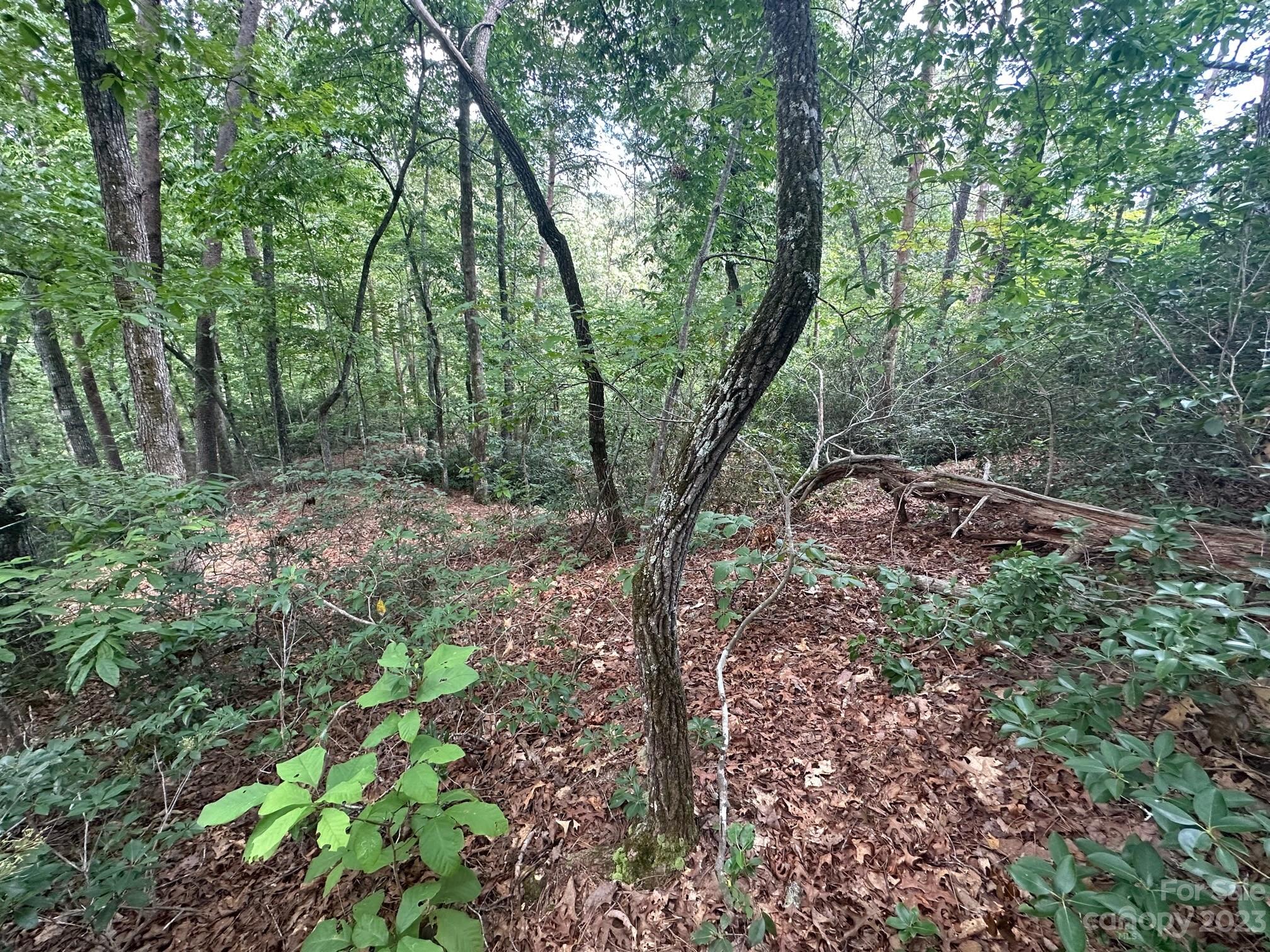 0000 Justice Drive Lake Lure NC 28746