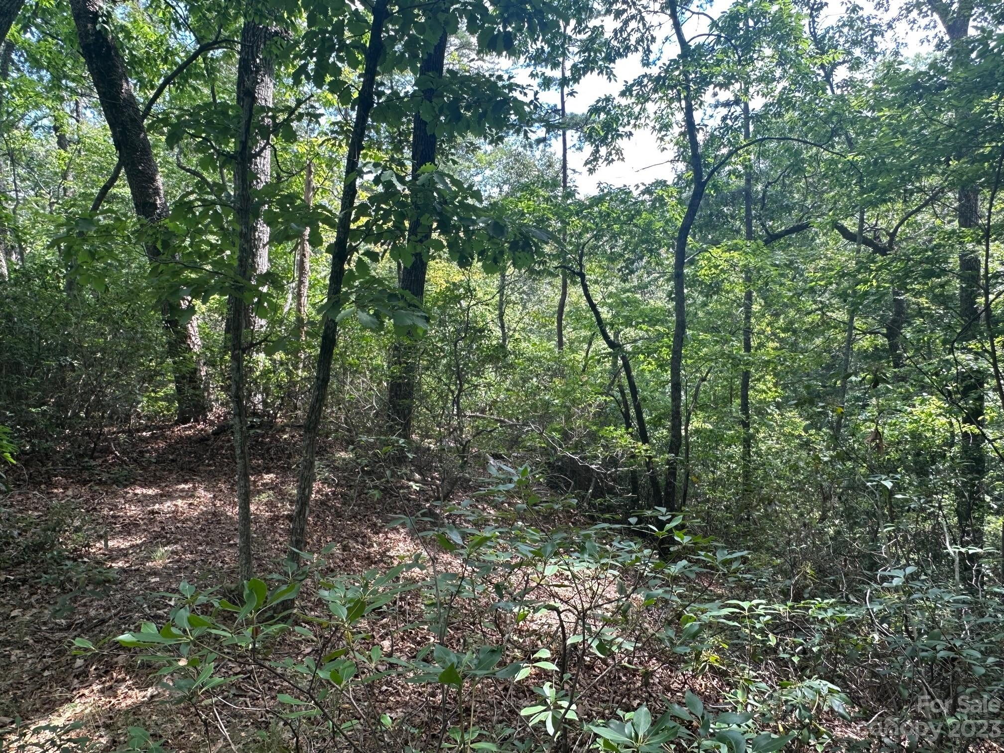 0000 Justice Drive Lake Lure NC 28746