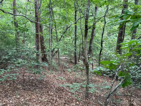 0000 Justice Drive Lake Lure NC 28746