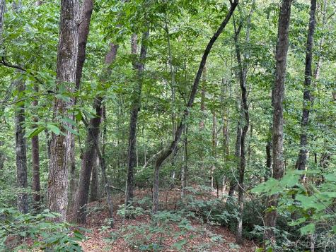 0000 Justice Drive Lake Lure NC 28746