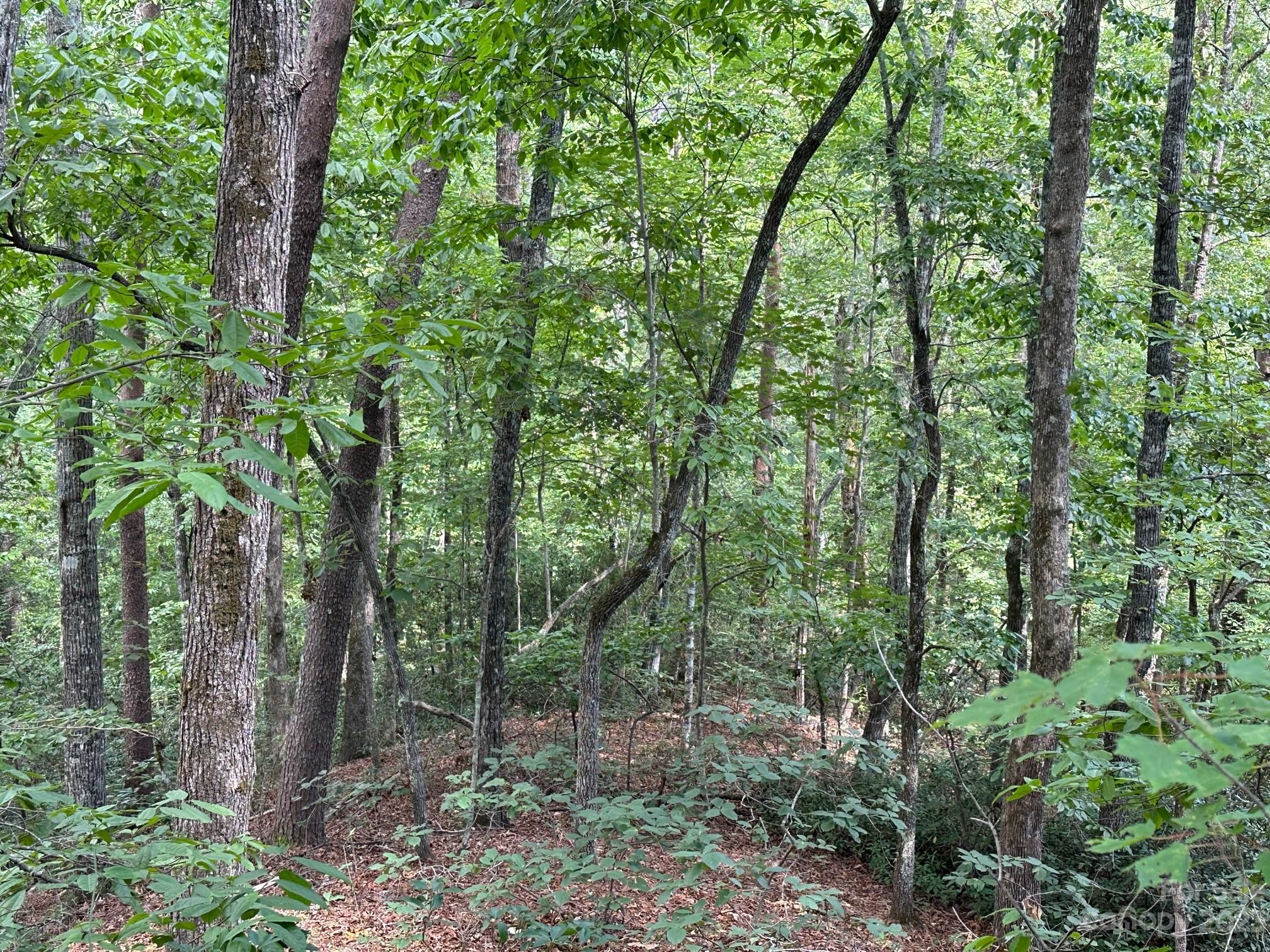 0000 Justice Drive Lake Lure NC 28746
