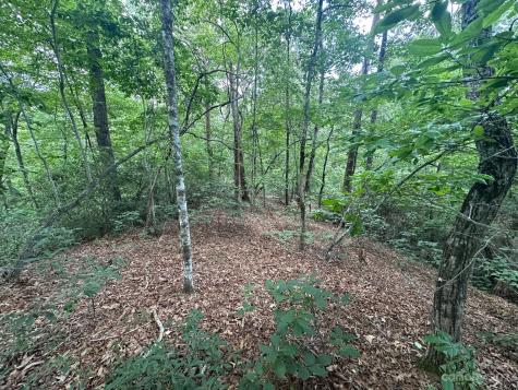 0000 Justice Drive Lake Lure NC 28746