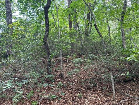 0000 Justice Drive Lake Lure NC 28746