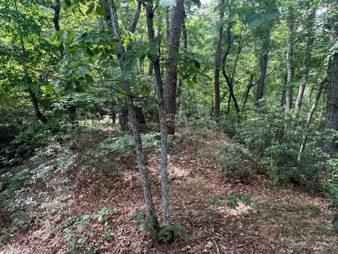 0000 Justice Drive Lake Lure NC 28746