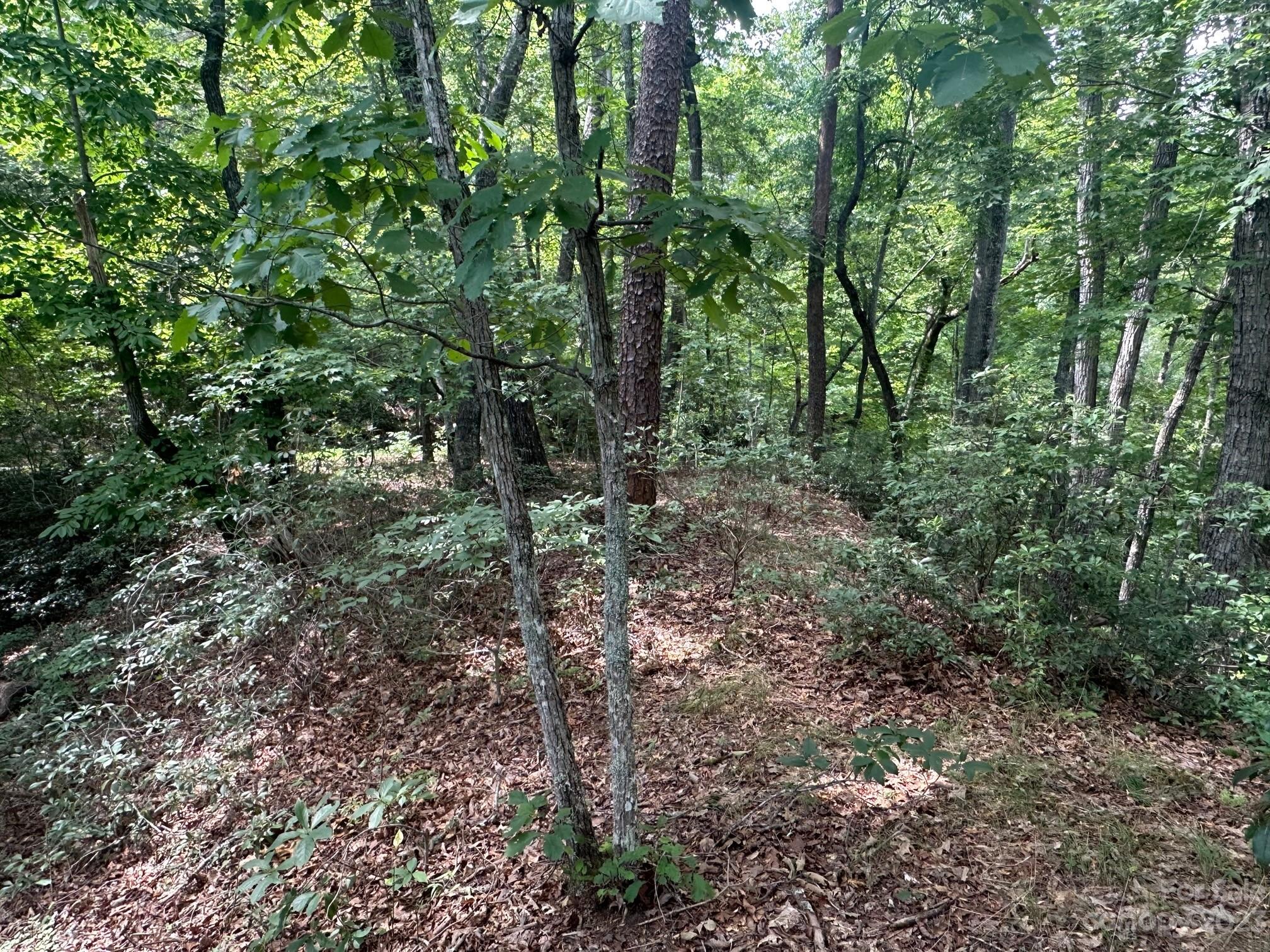 0000 Justice Drive Lake Lure NC 28746