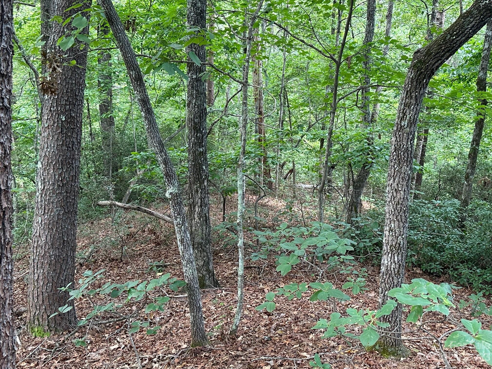 0000 Justice Drive Lake Lure NC 28746