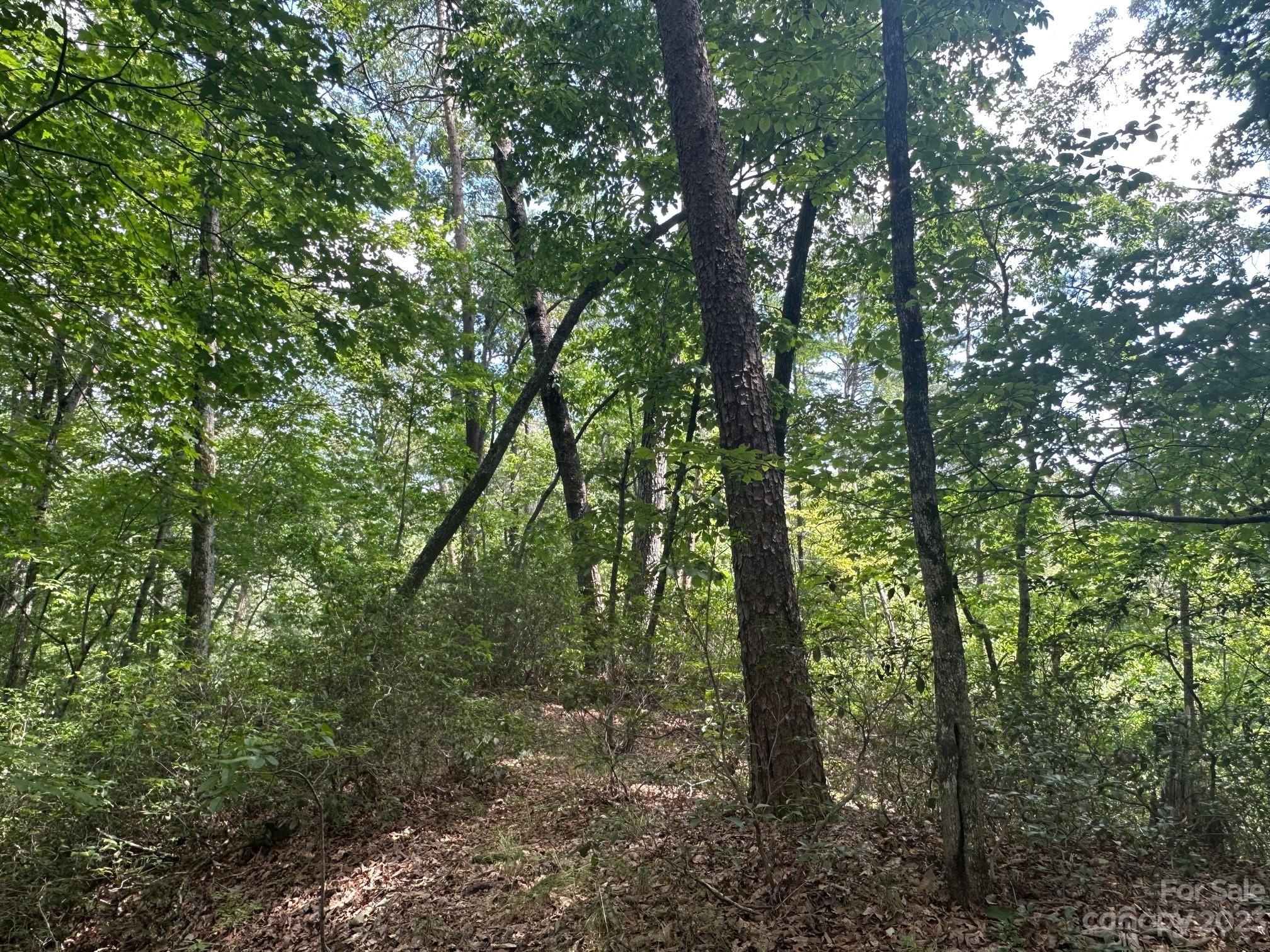 0000 Justice Drive Lake Lure NC 28746